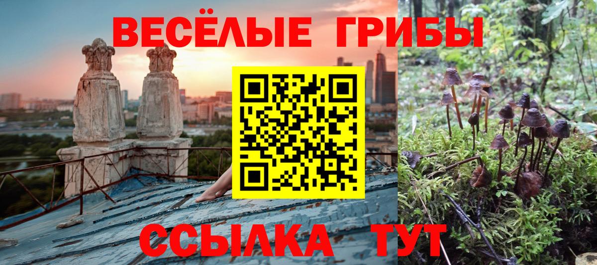 Псилоцибиновые грибы мухоморы Ростов Великий